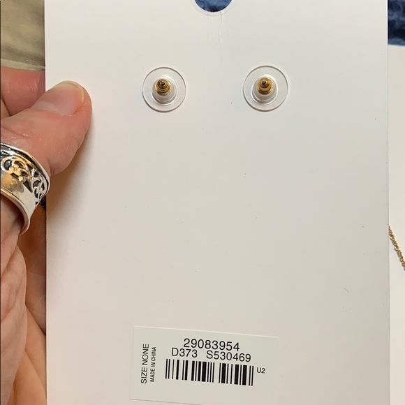 NWT best LOFT earrings ever! Multi color - Picture 5 of 5